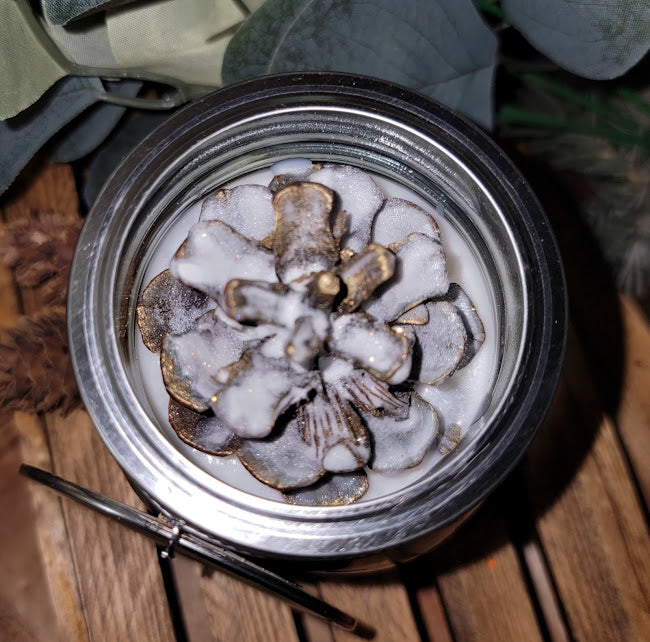 Winter Pines Nature Meltz Wickless Kandle