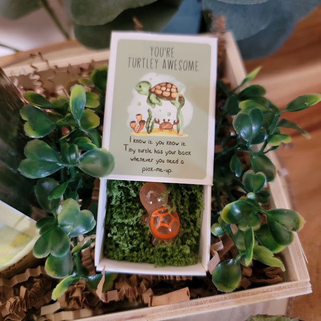 Summer Fields intention Kandle ~ Relaxation and Healing Box