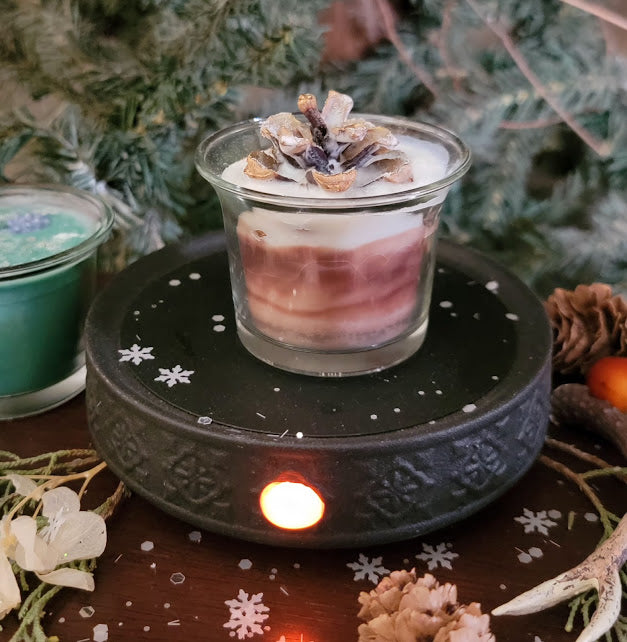 Winter Pines Nature Meltz & Frosted Juniper nature Meltz Boxed Set