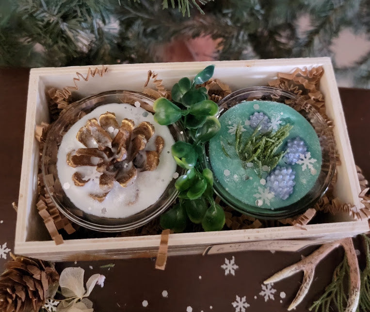 Winter Pines Nature Meltz & Frosted Juniper nature Meltz Boxed Set