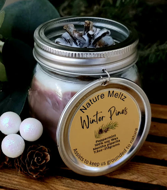 Winter Pines Nature Meltz Wickless Kandle