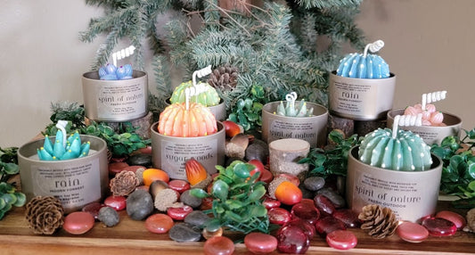 Succulent Kandles-Spiritual

Each Kandle-4oz-113.3grams- Champagne Gold Metal Tin- 100% Soy Wax.

Succulents represent enduring, timeless love, and adaptability, reminding us to overcome adversity, maintain inner balance, and find growth even in challenging environments. These kandle's have beautiful, bright, bold colors with a variety of fragrances.

rain- Hidden Forrest Spiritual Kandle.&nbsp;This beautiful kandle is a classic white kandle with shimmering blue succulents and a crackling wood wick.&nbsp;Th