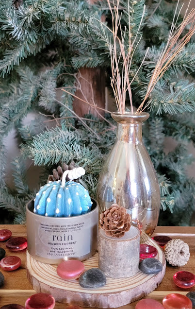 Succulent Kandles-Spiritual

Each Kandle-4oz-113.3grams- Champagne Gold Metal Tin- 100% Soy Wax.

Succulents represent enduring, timeless love, and adaptability, reminding us to overcome adversity, maintain inner balance, and find growth even in challenging environments. These kandle's have beautiful, bright, bold colors with a variety of fragrances.

rain- Hidden Forrest Spiritual Kandle.&nbsp;This beautiful kandle is a classic white kandle with shimmering blue succulents and a crackling wood wick.&nbsp;Th