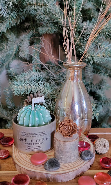 Succulent Kandles-Spiritual

Each Kandle-4oz-113.3grams- Champagne Gold Metal Tin- 100% Soy Wax.

Succulents represent enduring, timeless love, and adaptability, reminding us to overcome adversity, maintain inner balance, and find growth even in challenging environments. These kandle's have beautiful, bright, bold colors with a variety of fragrances.

rain- Hidden Forrest Spiritual Kandle.&nbsp;This beautiful kandle is a classic white kandle with shimmering blue succulents and a crackling wood wick.&nbsp;Th