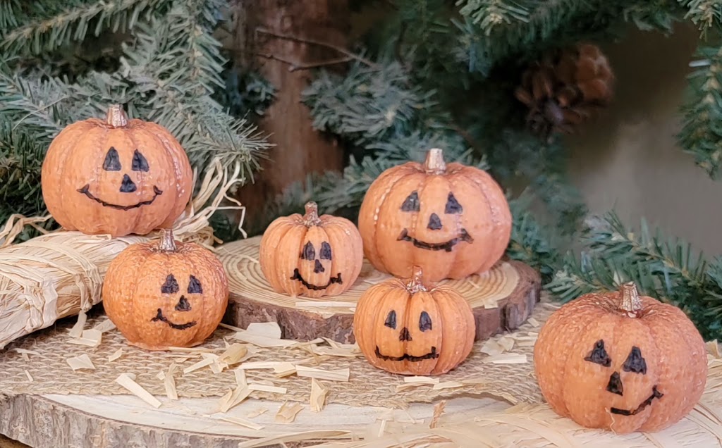 Happy Pumpkins Wax Melts

4oz-113.3grams 100% Soy Wax Melts

Pumpkin Spice &amp; Buttercream Fragrance

Perfect little pumpkins for fall and Halloween. Your house will smell amazing for the season. Faces are hand painted with wax.&nbsp;

Assist with Abundance and Stability, Sacral Chakra, Harmony and Balance, Removing unwanted energy, Energy boost.

*USE &amp; WARNING&nbsp;*

Place melt in Wax Warmer, Medium-High heat setting. Do not leave warmer unattended. Do not leave warmer on for more than 4 hours. Kee