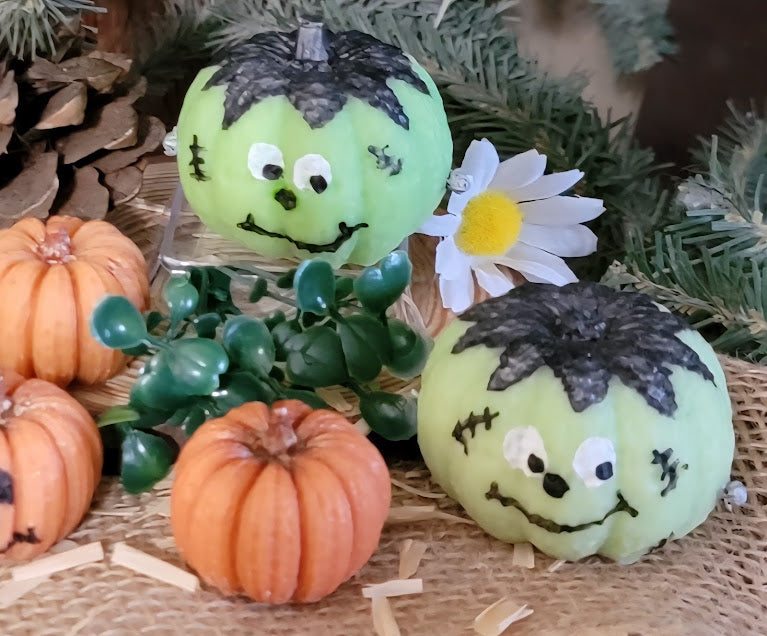 Frankestein Fun Wax Melts

2.2oz-62.3grams 100% Soy Wax Melt

Fresh Cut Apples Fragrance

Fun little Frankenstein pumpkin. Perfect for a Halloween decoration and help keep your space protected and cleansed. Hand painted with wax. package of one.

Assist with Protection and Banishment, Renewal and Fresh Starts, Prosperity and Wealth, Cleansing Intentions.

*USE &amp; WARNING&nbsp;*

Place melt in Wax Warmer, Medium-High heat setting. Do not leave warmer unattended. Do not leave warmer on for more than 4 hour